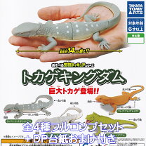 楽天市場】トカゲ フィギュアの通販