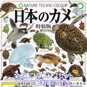lC`[eNjJ[ {̃J   yS6tRvZbg{DP䎆܂tz NATURE TECHNI COLOUR JAPANESE TURTLE T ObY tBMA K`K` JvZgCy[ 
