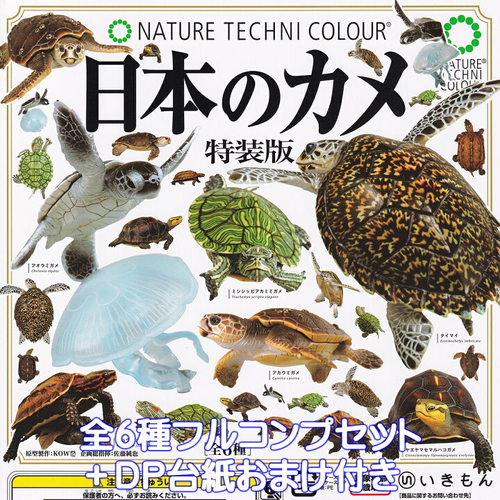 楽天市場】ネイチャーテクニカラー 日本のカメ 特装版 いきもん 【全6 