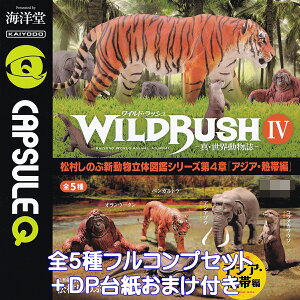 JvZQ ChEbV ^EEIV Cm yS5tRvZbg{DP䎆܂tz CAPSULE Q WILD RUSH 4 KAIYODO  Aj} ObY tBMA K`K` JvZgCy