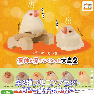 ߁[ ̂ۂĂȂȂ2 ACs[tH[ yS8tRvZbg{DP䎆܂tz   JAVA SPARROW BIRD ObY tBMA K`K` JvZgCy[ ݌ɕi