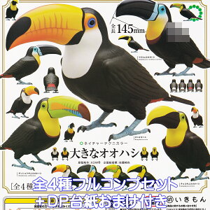 lC`[eNjJ[ 傫ȃIInV  yS4tRvZbg{DP䎆܂tz NATURE TECHNI COLOUR NCT LccL   ObY tBMA K`K` JvZgCy