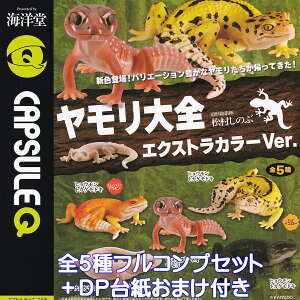 CAPSULEQ S GNXgJ[Ver. Cm yS5tRvZbg{DP䎆܂tz GECKO KAIYODO ঒  JvZQ ObY tBMA { Ǝ K`K` JvZgCy