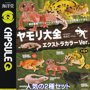 CAPSULEQ S GNXgJ[Ver. Cm ylC2Zbgz GECKO KAIYODO ঒  JvZQ ObY tBMA { Ǝ K`K` JvZgCy[ ݌ɕizyʌz
