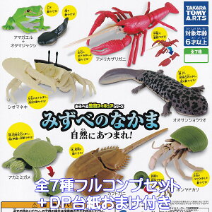 ׂ鐶tBMAV[Y ׂ݂̂Ȃ Rɂ܂I ^Jg~[A[c yS7tRvZbg{DP䎆܂tz ObY tBMA  K`K` JvZgC