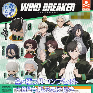 ˂ނ WIND BREAKER X^hEXg[Y yS5tRvZbg{DP䎆܂tz EChuCJ[ ObY tBMA Aj K`K` JvZgCy[ ݌ɕizy