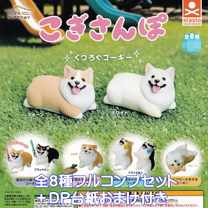 Aj}AgNV  X^hEXg[Y yS8tRvZbg{DP䎆܂tz ANIMAL ATTRACTION CORGI R[M[  U ObY tBMA K`K` JvZgC