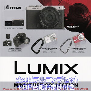 LUMIX ~j`ARNV PGt@g yS4tRvZbg{DP䎆܂tz Panasonic DIGITAL CAMERA pi\jbN ~bNX fW^Juh RfW ObY tBM