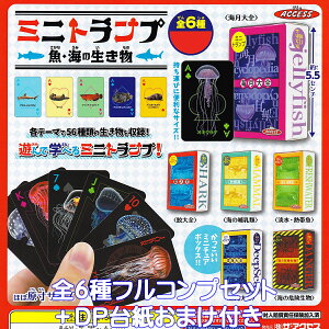 ~jgv EC̐ UEANZX yS6tRvZbg{DP䎆܂tz MINI PLAYING CARDS FISH AND SEA CREATURES ~j`A J[hQ[ ObY q[[ K`K` JvZ