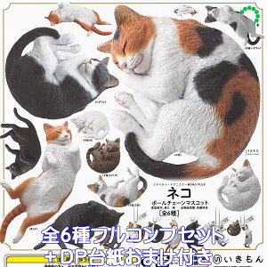 lC`[eNjJ[MONO PLUS lR{[`F[}XRbg  yS6tRvZbg{DP䎆܂tz NATURE TECHNI COLOUR NTC MONO+ CAT L  ObY tBMA K`K` 