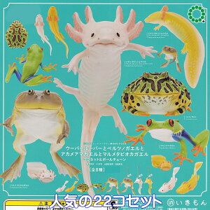 lC`[eNjJ[ MONO PLUS E[p[[p[ƃxcmKGƃAJA}KGƃ}^sIJKG }Olbg{[`F[ 2025  ylC22RZbgz NTC MONO{ O