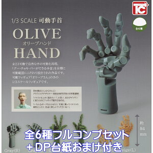 1/3 SCALE  I[unh gCYLr yS6tRvZbg{DP䎆܂tz u ObY tBMA M~bN  ͌^ E荶 K`K` JvZgCy