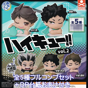 ˂ނ nCL[IIvol.2 X^hEXg[Y yS5tRvZbg{DP䎆܂tz Haikyu!! VOLLEYBALL r o[{[ LN^[ Aj ObY tBMA K`K`