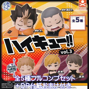 ˂ނ nCL[II vol.3 X^hEXg[Y yS5tRvZbg{DP䎆܂tz volleyball o[{[ LN^[ ObY tBMA K`K` JvZgC