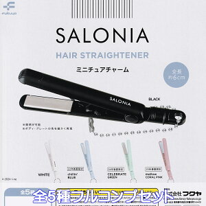 SALONIA HAIR STRAIGHTENER ~j`A`[ tN yS5tRvZbgz TjA Xg[gAC wAAC ObY tBMA FANCY FUKUYA K`K` JvZgCy[ ݌