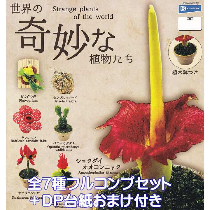 楽天市場】世界の奇妙な植物たち レインボー 【全7種フルコンプセット 