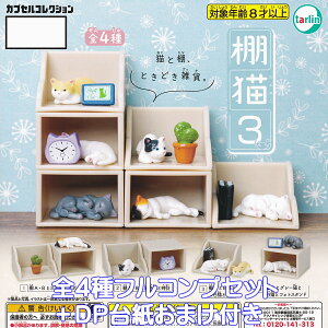 IL3 ^[EC^[iVi yS4tRvZbg{DP䎆܂tz Shelf Cat JvZRNV Ȃ˂ lR ObY tBMA K`K` JvZgCy[ ݌