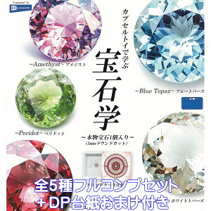 JvZgCŊw Ίw C{[ yS5tRvZbg{DP䎆܂tz Learn gemology through {1i3mmEhJbgj ObY tBMA XbvP[Xdl K`