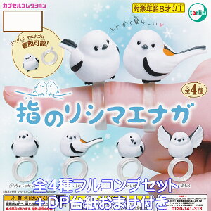 ŵV}GiK ^[EC^[iVi yS4tRvZbg{DP䎆܂tz Snow Fairy 쒹  ObY tBMA w O ̗d K`K` JvZgCy