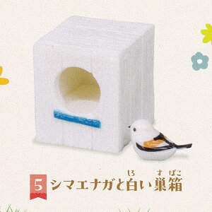 5.V}GiKƔ yV}GiKƑ2 ^[EC^[iVi JvZRNV Shimaenaga and Birdhouse  ̗d ObY tBMA K`K` JvZgCzy[