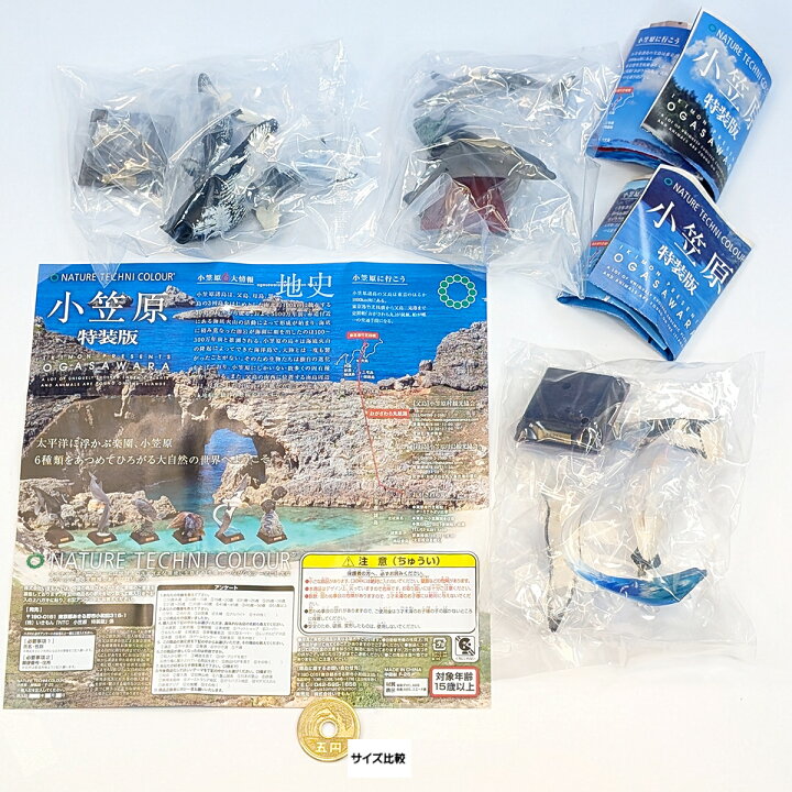 楽天市場】ネイチャーテクニカラー 小笠原 特装版 いきもん 【人気の3 