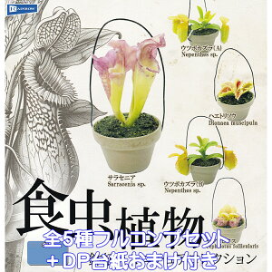 食虫植物 鉢植えミニチュアコレクション レインボー 【全5種フルコンプセット+DP台紙おまけ付き】 Carnivorous Plant ミニチュア グッズ フィギュア ガチャガチャ カプセルトイ【即納 在庫品】