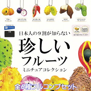 {l9mȂt[c~j`ARNV C{[ yS6tRvZbgz Rare Fruit ʕ ObY tBMA K`K` JvZgCy[ ݌ɕizyʌ