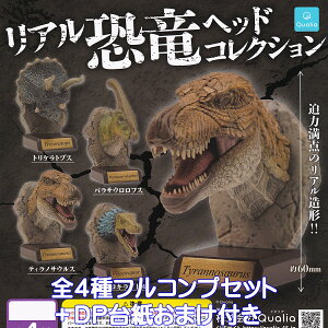 AwbhRNV Qualia yS4tRvZbg{DP䎆܂tz Dinosaur _Ci\[ ` ObY tBMA ͌^ K`K` JvZgCy[ ݌ɕizyʌz