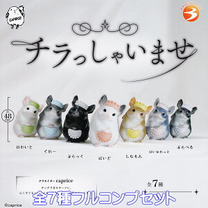 `Ⴂ܂ uCgN yS7tRvZbgz `` Ch ObY }XRbg tBMA  ~j`A ͌^ caprice K`K` JvZgCy[ ݌ɕizy