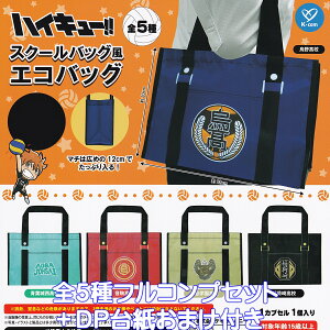 nCL[II XN[obOGRobO PCJpj[ yS5tRvZbg{DP䎆܂tz Haikyu!! ECO BAG o[{[ r ObY 񂰑 K`K` JvZgCy