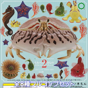 lC`[eNjJ[ MONO PLUS ׂ݂̂ }Olbg{[`F[2  yS8tRvZbgz NATURE TECHNI COLOUR MONO{ NTC ~j`AObY tBMA K`K` 