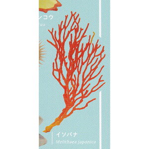 C\oi ylC`[eNjJ[ MONO PLUS ׂ݂̂ }Olbg{[`F[2  NATURE TECHNI COLOUR MONO{ NTC ~j`AObY tBMA K`K` JvZgCzy