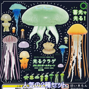 lC`[eNjJ[ MONO PLUS NQ ՂɂՂɃ{[`F[  ylC2Zbgz NTC NATURE TECHNI COLOUR MONO+ ~ ObY tBMA K`K` JvZgCy[ ݌ɕi