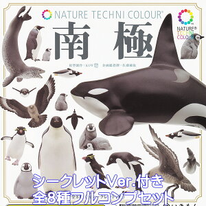 �l�C�`���[�e�N�j�J���[ ��� �������� �y�V�[�N���b�g�t���S8��t���R���v�Z�b�g�z NATURE TECHNI COLOUR NTC �C�̐����� ���� �O�b�Y �t�B�M���A �K�`���K�`�� �J�v�Z���g�C�y���[ �݌ɕi�z�y��