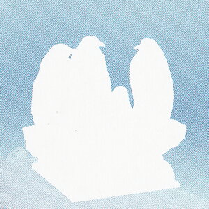 V[Nbg REeCyMiRj[j ylC`[eNjJ[   NATURE TECHNI COLOUR NTC C̐  ObY tBMA K`K` JvZgCzy[ ݌ɕiz