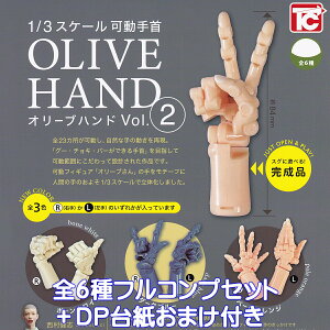 1/3 XP[  I[unh Vol.2 gCYLr yS6tRvZbg{DP䎆܂tz OLIVE HAND u ObY tBMA fbTl` ͌^ K`K` JvZg