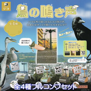 ̖ SO-TA yS4tRvZbgz 쒹 ̐ ObY TEh ͌^ K`K` JvZgCy[ ݌ɕizyʌzytRv[gz