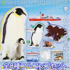 TCGXeNjJ[ Ɋϑ 킭킭A\[g  嗤 yM yP[X |[`  ObY K` ЂiS8tRvZbgjy[zyʌzyZ