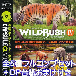 JvZQ~[WA WILD RUSH ^EE IV 4 AWAEMѕ  Aj} ̂ ChEbV K` Cm iS5tRvZbg{DP䎆܂tjy[z