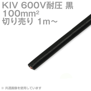 1m`؂蔄 tWN KIV 100sq  600Vψ dC@zprj≏d SD