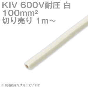 1m`؂蔄 tWN KIV 100sq  600Vψ dC@zprj≏d SD