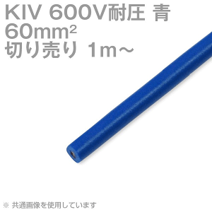 1m`؂蔄 zP[uebN KIV 60sq  600Vψ dC@prj≏d SD