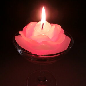 sQXgLht VCj[LhiC{[[Yj Xp[Nԉ΂オLEDCgQXgLh uC_Lh EGfBOLh L