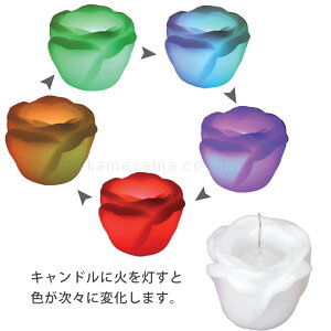 sLh[t 郉rA[YiQXgpj LEDLh KŇ`̃Lh[ uC_Lh EGfBOLh Lh ILh 