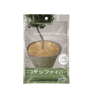 A@T{e@񂹐Ap@RRVt@Co[@50g