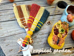 11710NL/BN@ق@~jق@u[ @A@|G݁@CeA@K[fjO