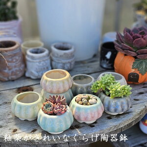 ֖򂪂ꂢȂ炰픫@܂4RZbg@@픫@Aؔ@GPxA@A@ϗtA