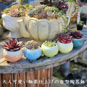 l֖dグ̚^픫@@픫@Aؔ@GPxA@A@ϗtA