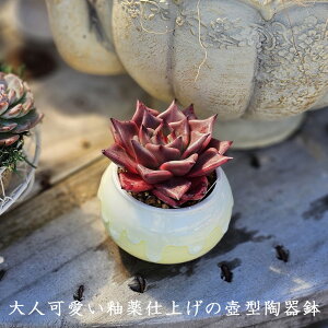 yڋʕizl֖dグ̚^픫@@픫@Aؔ@GPxA@A@ϗtA