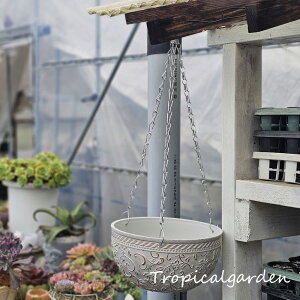 10^17ЉnMO{E@݂蔫@A@GPxA@@Aؔ@vX`bN